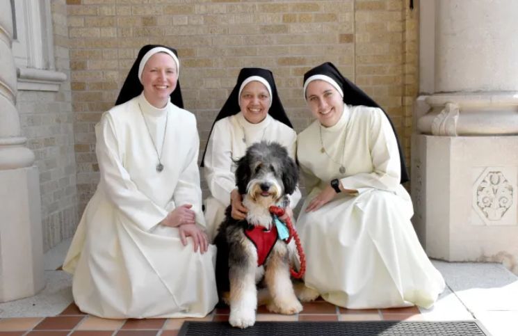 [Fotos] Conoce a Gia, la perra entrenada por religiosas y su importante misión evangelizadora