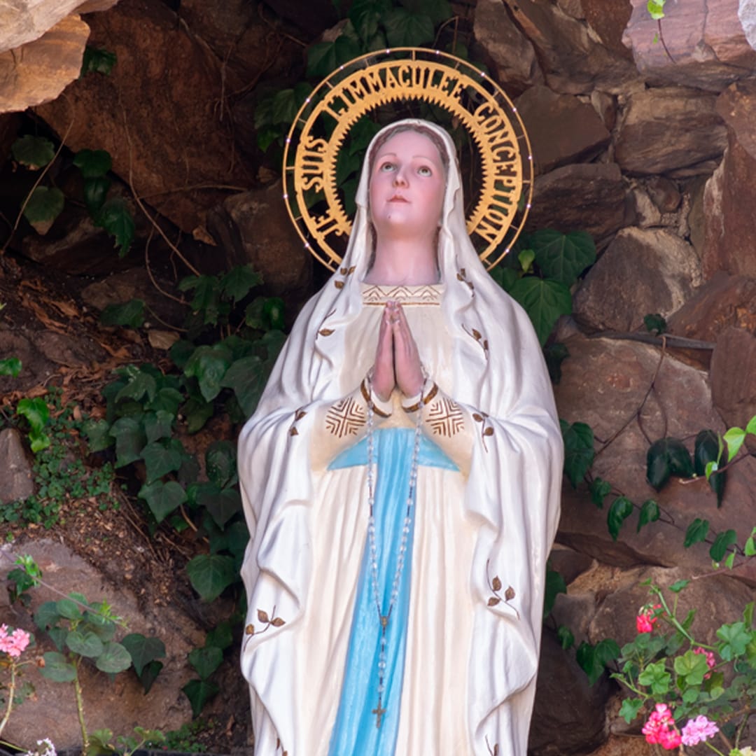 Una vocación, un santuario y un Bestseller: 3 historias de intercesión de la Virgen de Lourdes