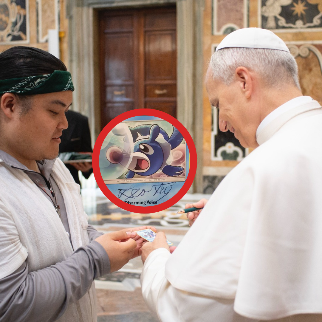 papa leon, leon xiv, papa leon xiv, papa león xiv, el papa leon xiv