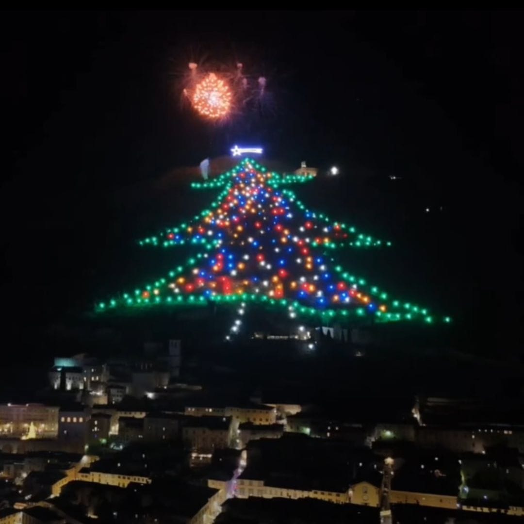 arbol, arbol navidad, arbol de navidad, árbol navidad, árbol de navidad