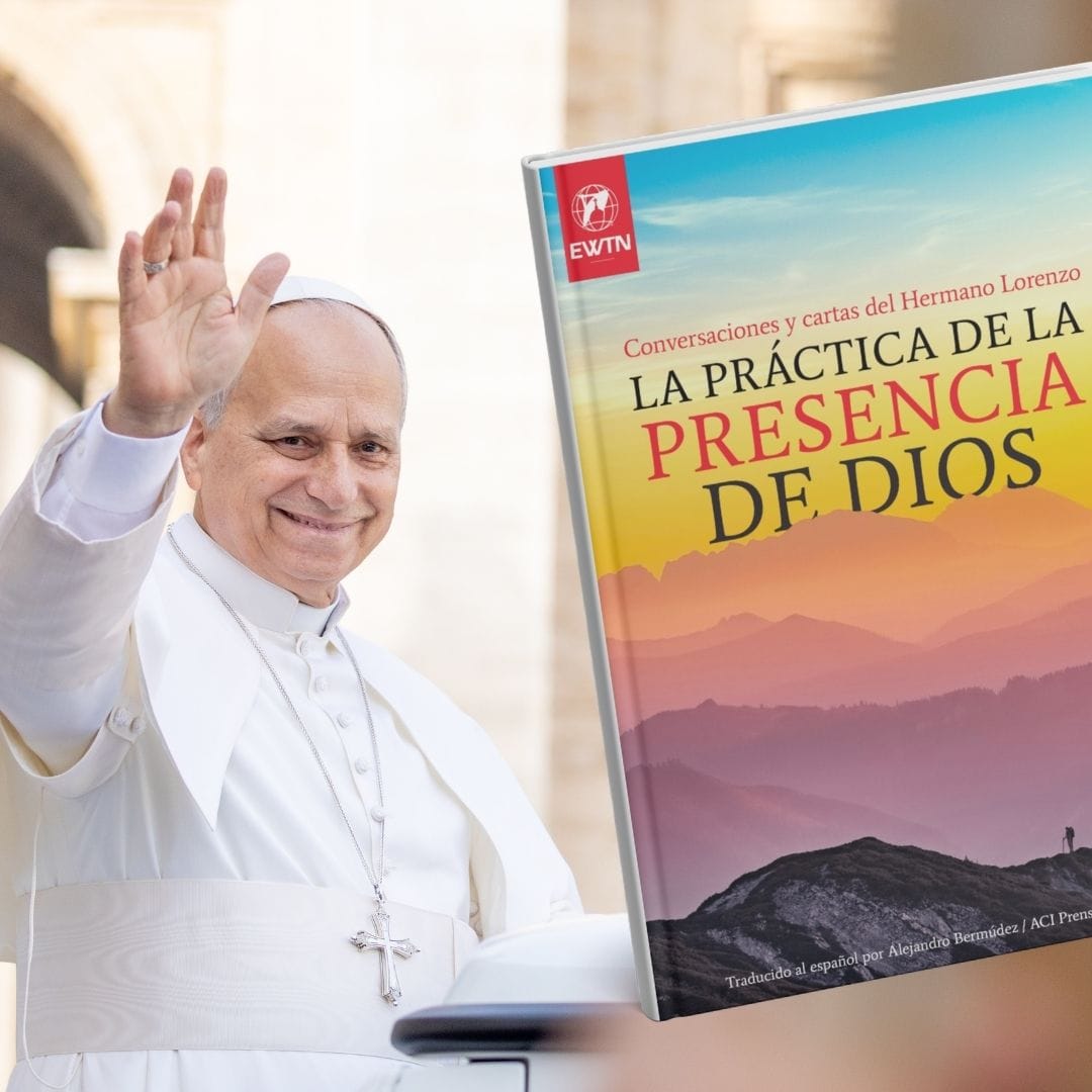 papa leon, leon xiv, león xiv, papa leon xiv, papa león xiv, 