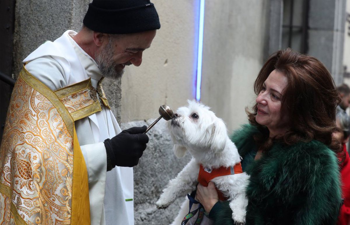 Conoce una iglesia en Madrid que tiene un día especial para bendecir a tus mascotas