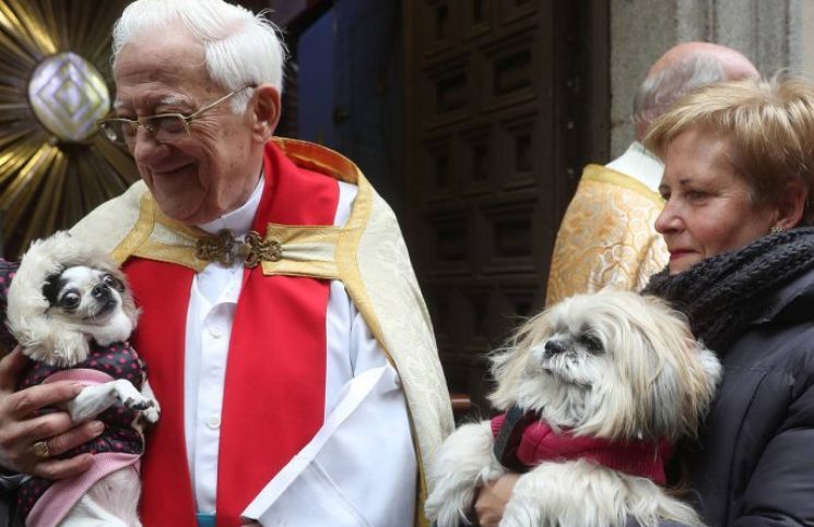 ¿Hasta qué punto un católico puede “amar” a sus mascotas?