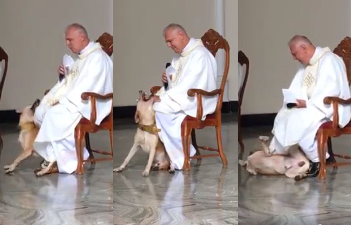 Video Viral: Perro genera momento tierno y alegre en plena Misa