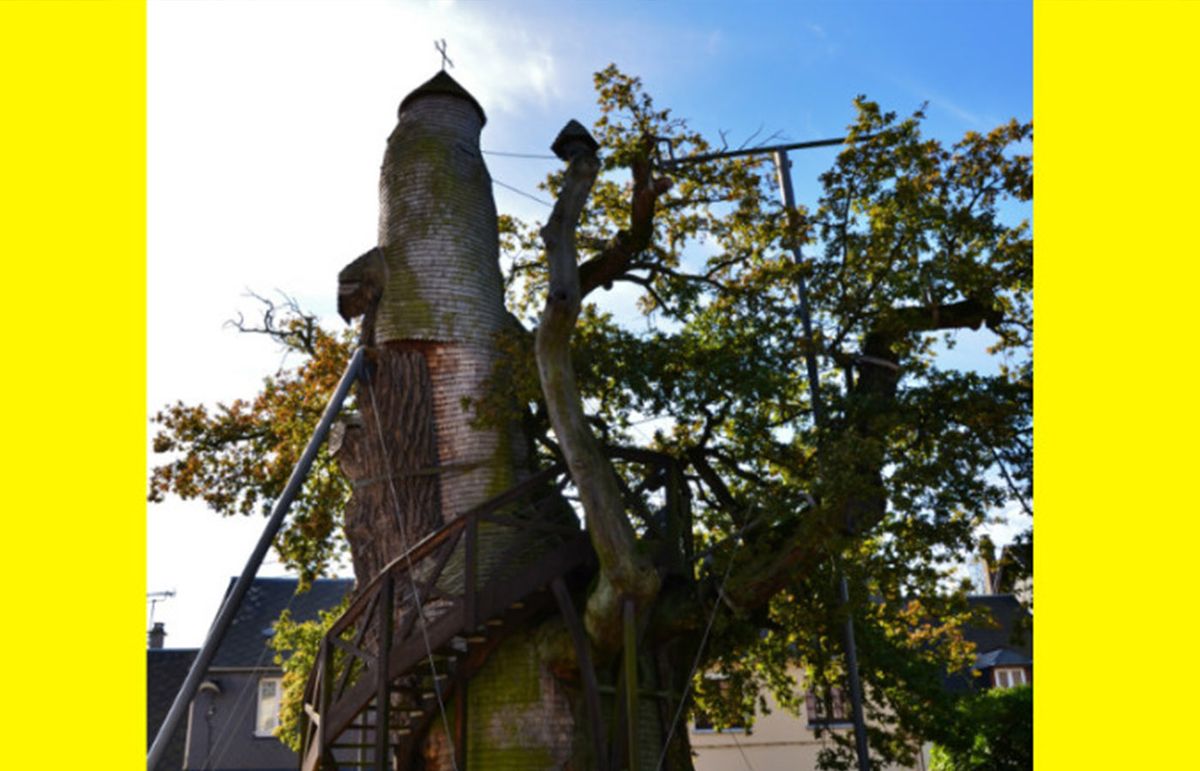 El árbol más antiguo de Francia tiene una increíble capilla en su interior