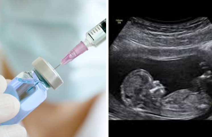Obispo alerta que vacuna contra el COVID-19 utiliza células de bebés abortados