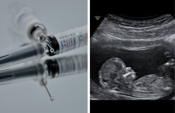 Obispos aprueban uso de vacunas contra el COVID-19 ligadas indirectamente a abortos