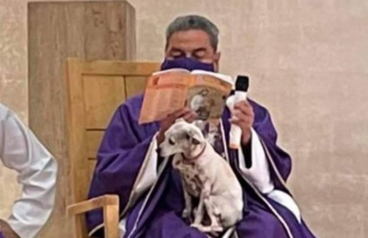 [Viral] Sacerdote emociona a los fieles al dar misa con su perrita en el regazo