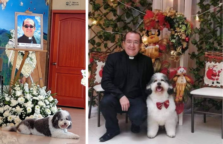 Perro callejero rescatado despide a su amigo sacerdote fallecido por COVID-19