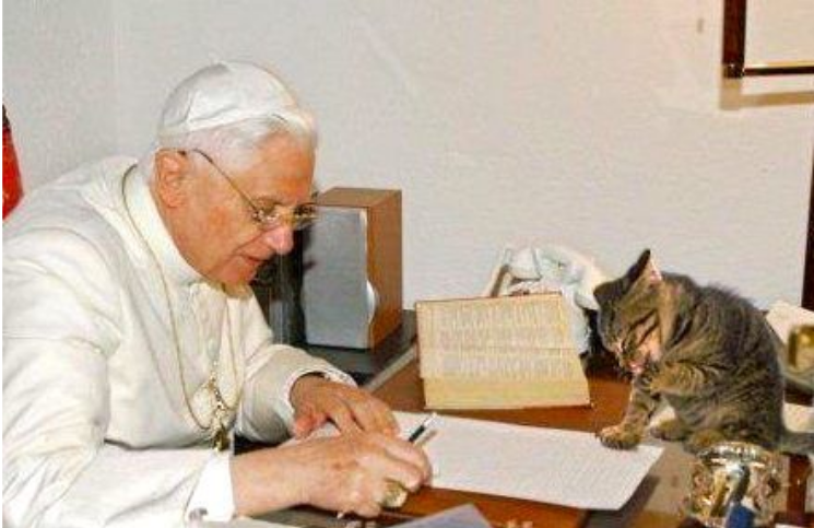 ¿Benedicto XVI hablaba con los gatos? Las increíbles historias del Papa Emérito y los felinos