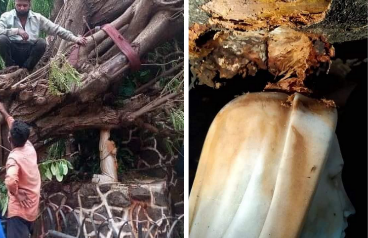[Video] Réplica de la Gruta de Lourdes sobrevive a la caída de un inmenso árbol tras un ciclón