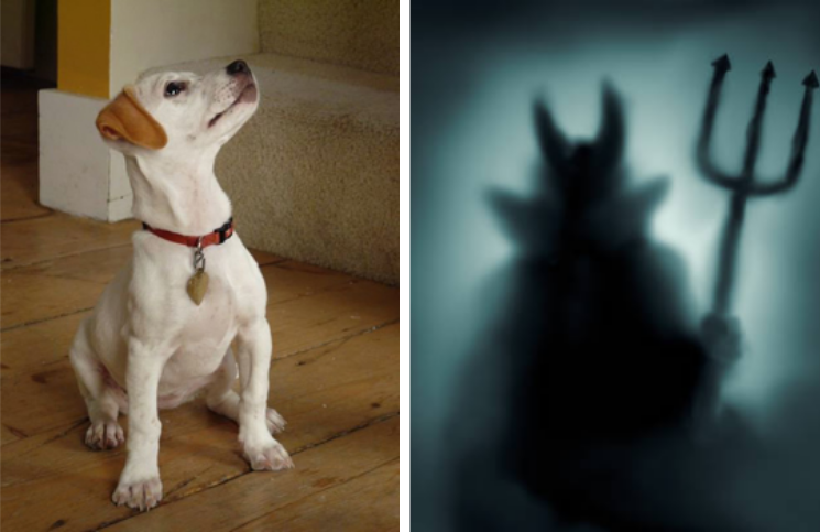 ¿Los perros pueden ver a los demonios? La curiosa respuesta de un exorcista