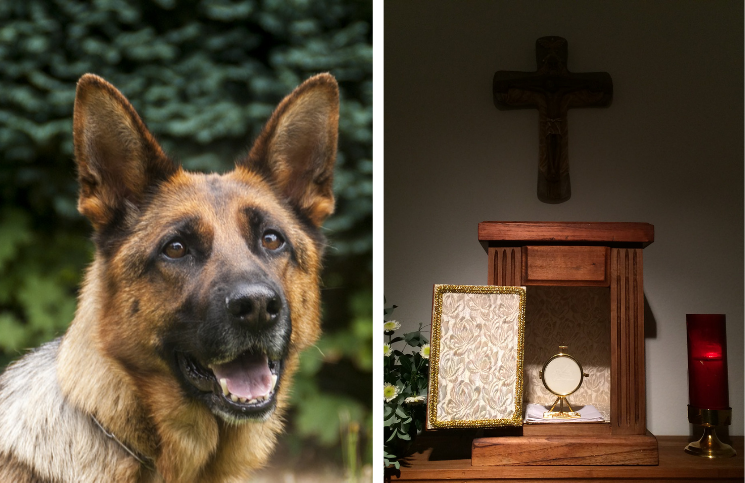¿Perros policía detectaron vida dentro de un sagrario? Una impactante historia de Cristo en la Eucaristía