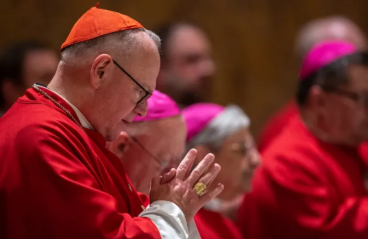 Cardenal enuncia 7 principios "no negociables" en la Iglesia para el proceso sinodal