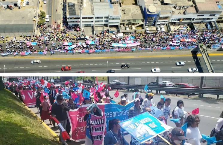 Miles marchan en favor de la vida durante cumbre de la OEA