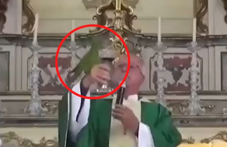 [Video viral] Loro invade Misa e intenta beber el vino durante la consagración