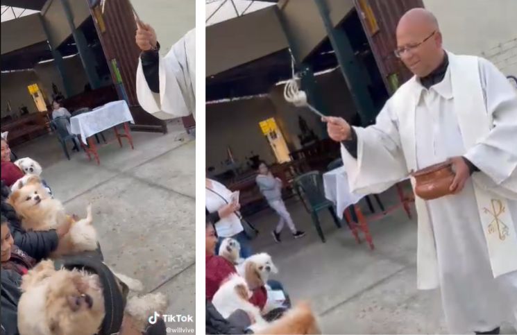 [Video viral] La graciosa reacción de un perro cuando un sacerdote lo iba a bendecir