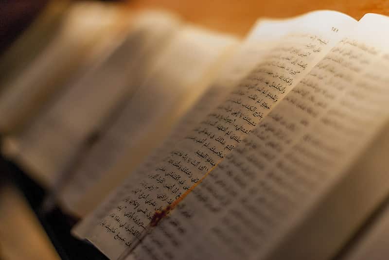 Las 7 mejores Biblias en español
