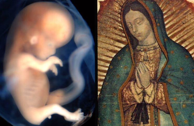 8 formas de combatir el mal del ab*rto con la ayuda de la Virgen