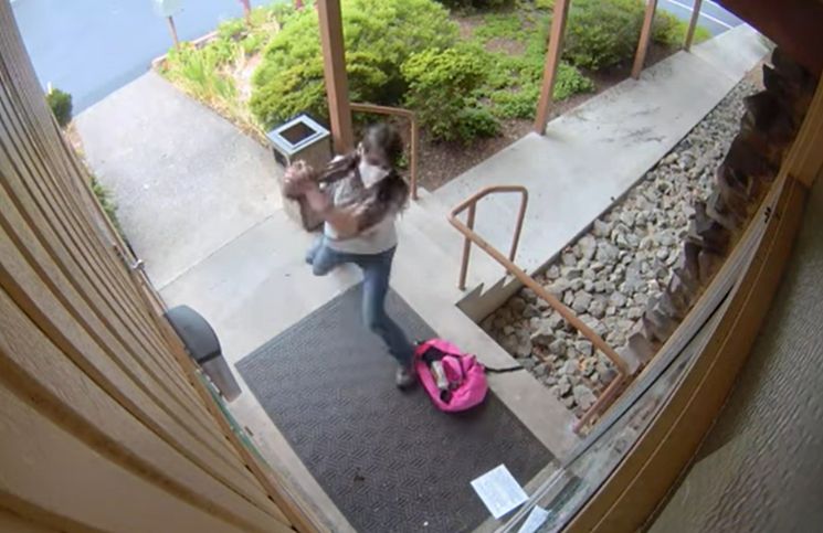[Video] Así registraron el momento que vandalizaron una parroquia católica